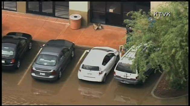 Record Arizona rainfall swamps cars, leaves 2 dead - WSVN 7News | Miami ...
