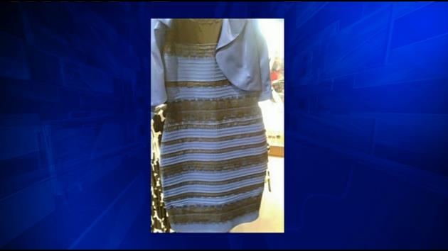 Debates rage over color of dress photographed in rare light - WSVN ...