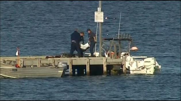 Man killed by shark while diving off Australian coast - WSVN 7News