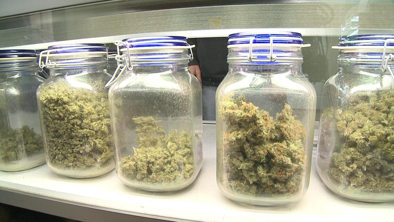 Medical marijuana amendment takes effect in Florida WSVN 7News
