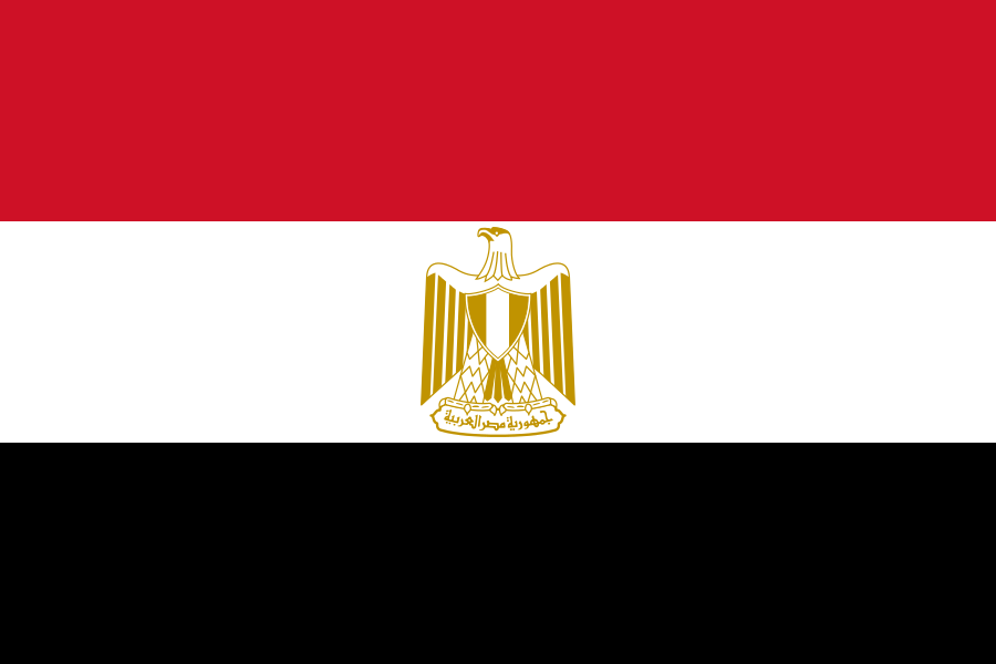 Download Egypt Begins Restoration On King Tut S Golden Coffin Wsvn 7news Miami News Weather Sports Fort Lauderdale