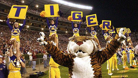 LSU officially has new live tiger mascot on campus - WSVN 7News | Miami