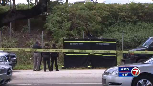 Dead body found in bush on Palmetto Expressway in Miami Gardens - WSVN ...
