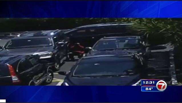 Police search for Hallandale Beach car burglar - WSVN 7News | Miami ...