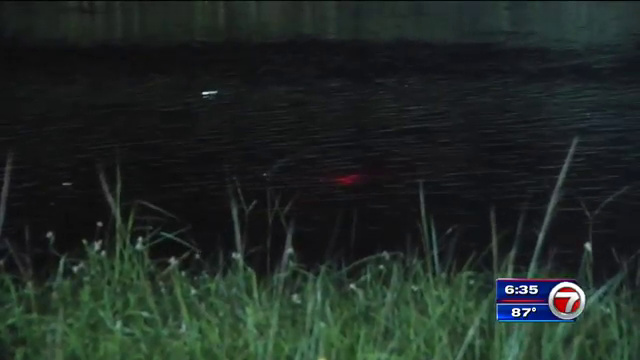 Driver Hospitalized After Car Plunges Into Sw Miami Dade Canal Wsvn