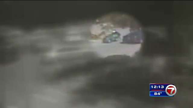 Man steals woman’s purse in Publix parking lot - WSVN 7News | Miami ...