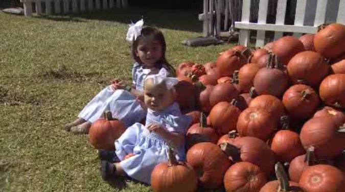 Download Pumpkin Patch Miami Dade