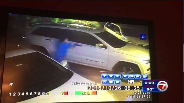 Thieves captured on camera burglarizing car with little girl - WSVN ...