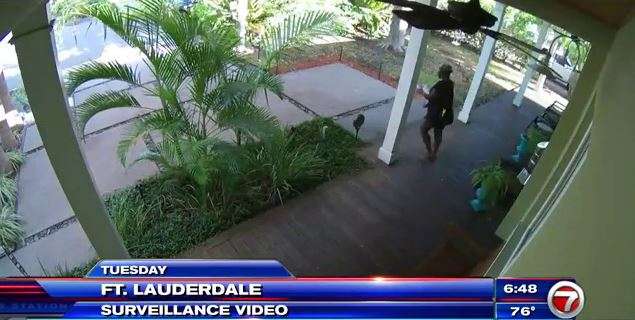 Woman caught on camera swiping package from Fort Lauderdale home - WSVN ...