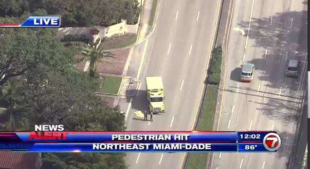 Pedesterian fatally struck by vehicle in Northeast Miami-Dade - WSVN ...