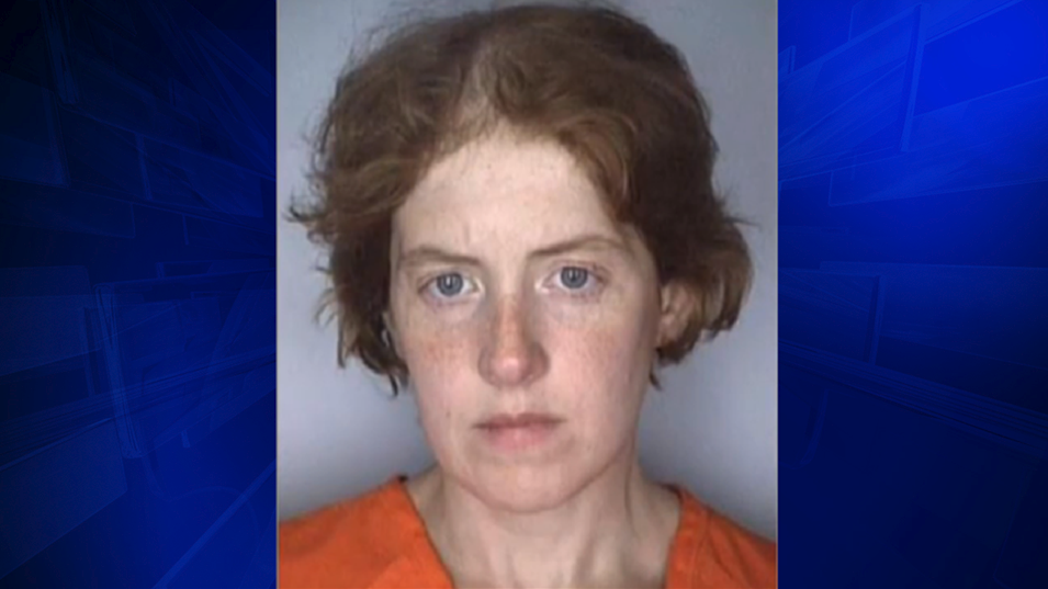 Woman charged in Sandy Hook parent death threat pleads not guilty WSVN 7News Miami News
