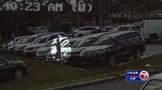 Purse snatcher robs grandmother in broad daylight - WSVN 7News | Miami ...