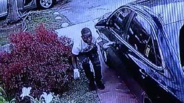 Thief snatches purse from woman in driveway - WSVN 7News | Miami News ...
