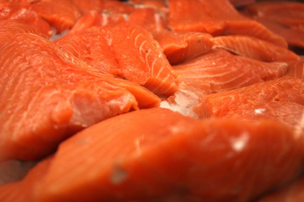 US salmon may carry Japanese tapeworm, scientists say WSVN 7News