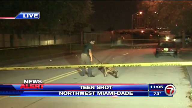 Bullet grazes teen in head in NW Miami-Dade - WSVN 7News | Miami News ...