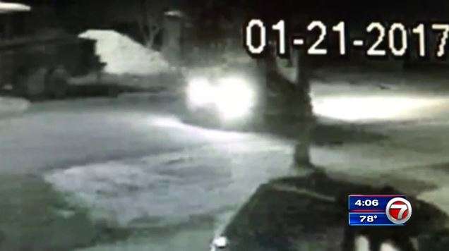 Miami man robbed of wallet and groceries at gunpoint - WSVN 7News ...