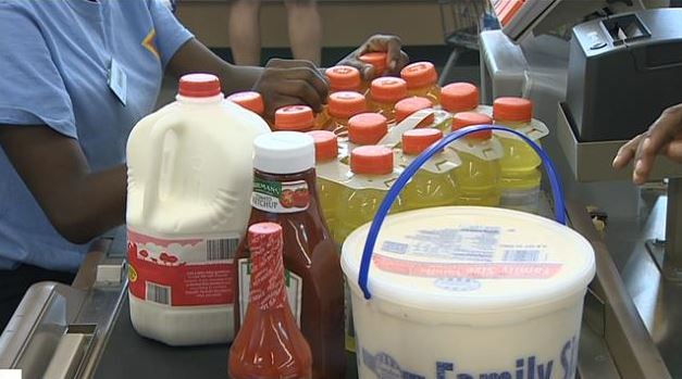 florida snap benefits florida snap benefits