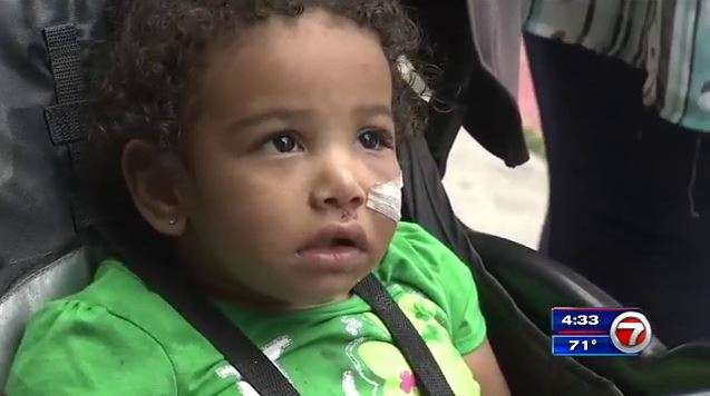 Toddler gets hospital check-up after dog attack in Miami - WSVN 7News ...
