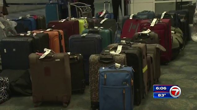 delta domestic checked bolsagage