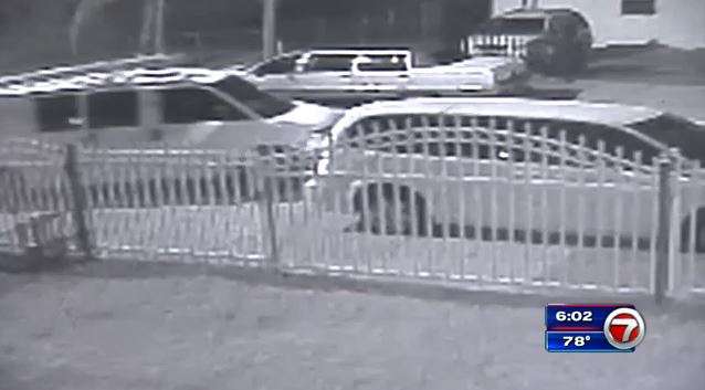 Thief steals truck from Miami family who used it for business - WSVN ...