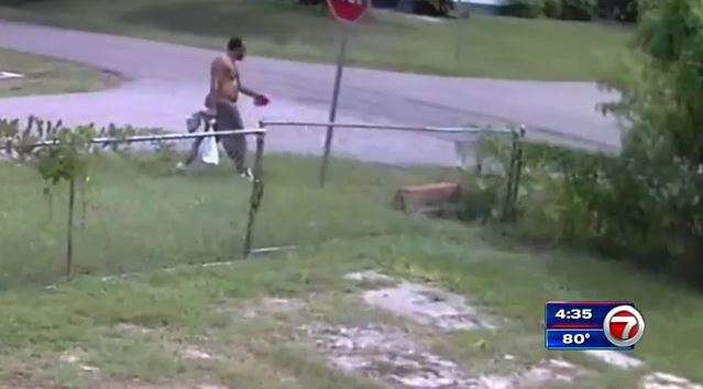 Jacksonville man arrested for shoving puppies into storm drain - WSVN ...