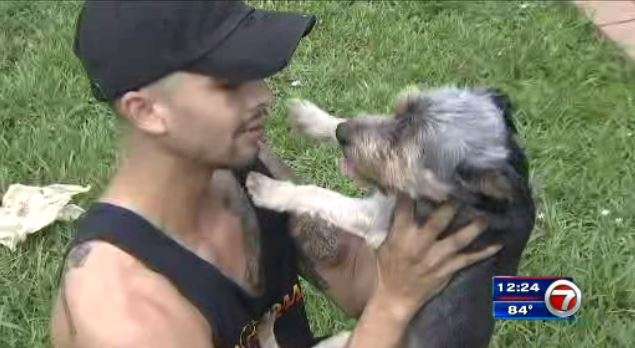 Dog reunites with owners after being missing for 2 days - WSVN 7News ...