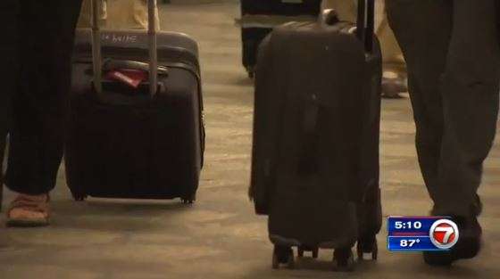 Police: Pilot had loaded gun in suitcase at Florida airport - WSVN ...