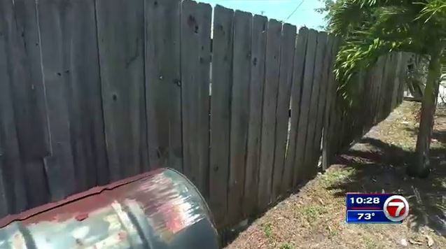 She Painted My Fence Wsvn 7news Miami News Weather Sports Fort Lauderdale