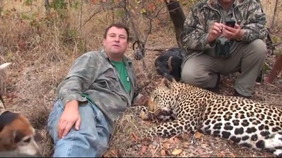 Big game hunter killed after elephant falls on top of him WSVN 7News