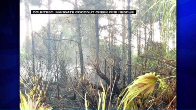 Crews respond to brush fire in Coconut Creek - WSVN 7News | Miami News ...