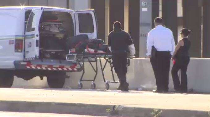 Body found in West Miami-Dade canal - WSVN 7News | Miami News, Weather ...