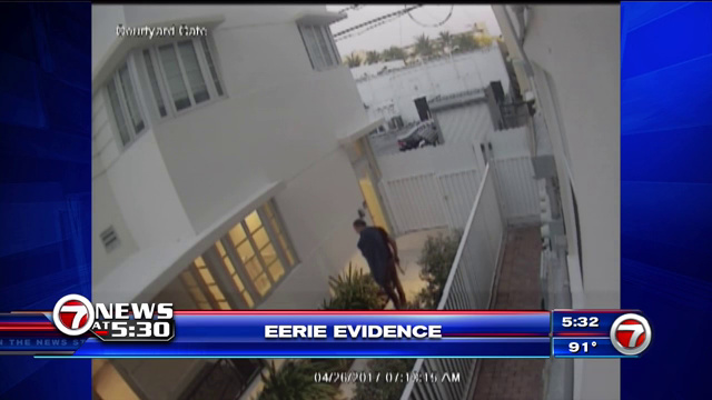Police: Video shows man fatally shooting cat with crossbow - WSVN
