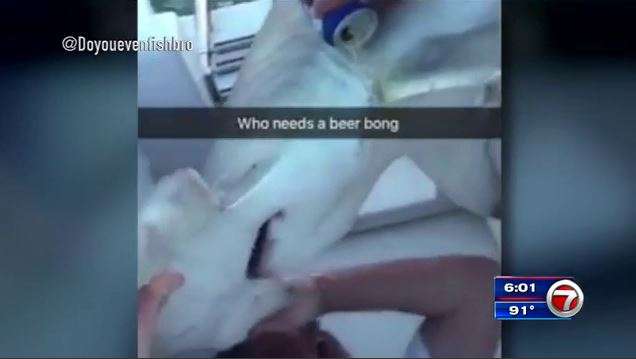 FWC investigating after new videos emerge showing fish being shot ...
