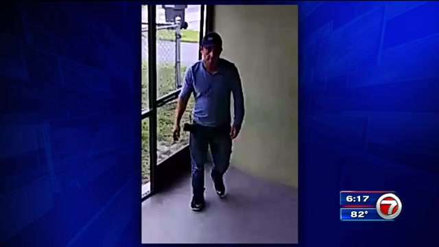 Burglar caught on camera during Hollywood home break-in - WSVN 7News ...