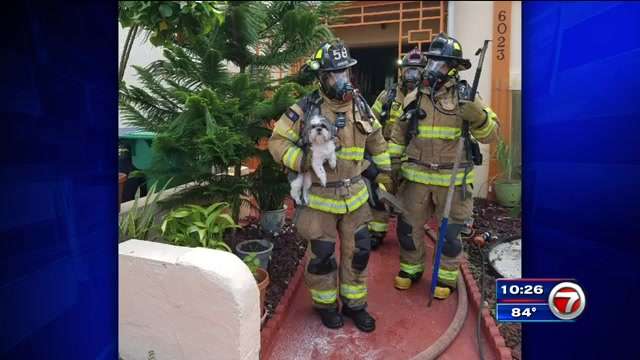 3 people, 1 dog rescued after SW Miami-Dade house catches fire - WSVN ...
