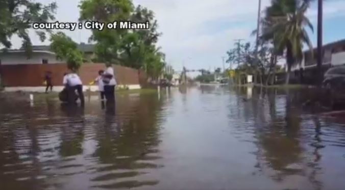 The king tides are coming. Here's when they'll be worst. - WSVN 7News |  Miami News, Weather, Sports | Fort Lauderdale