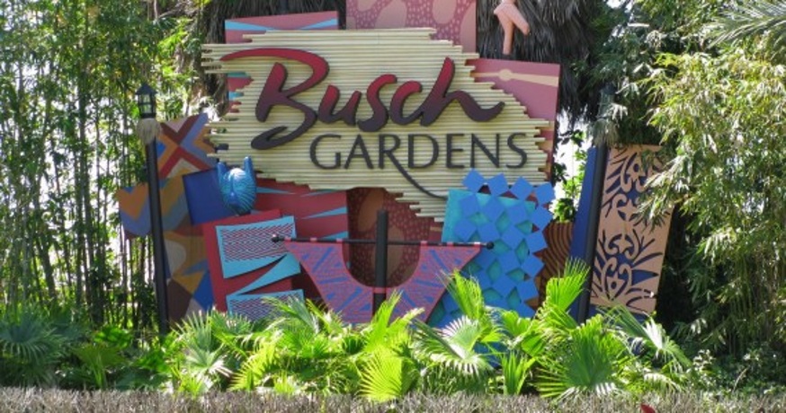 Busch Gardens Seaworld Offer Free Admission For Veterans And Their Families Through July 4 Wsvn 7news Miami News Weather Sports Fort Lauderdale
