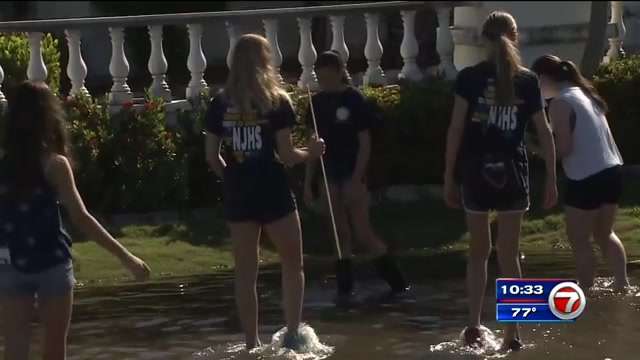 2nd King Tide Flooding Event held in Hollywood - WSVN 7News | Miami ...