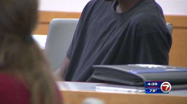 Teen found wandering Miami Gardens appears in children’s court - WSVN ...