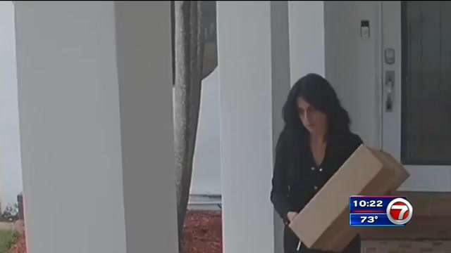 Video shows woman swiping package outside Miami Beach home - WSVN 7News ...