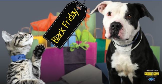 Broward Humane Society hosts Black Friday pet adoption ...