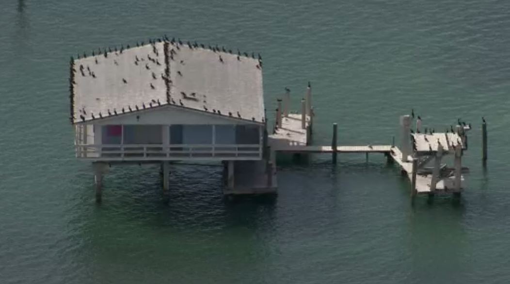 Miami’s iconic offshore Stiltsville survived Hurricane Irma WSVN