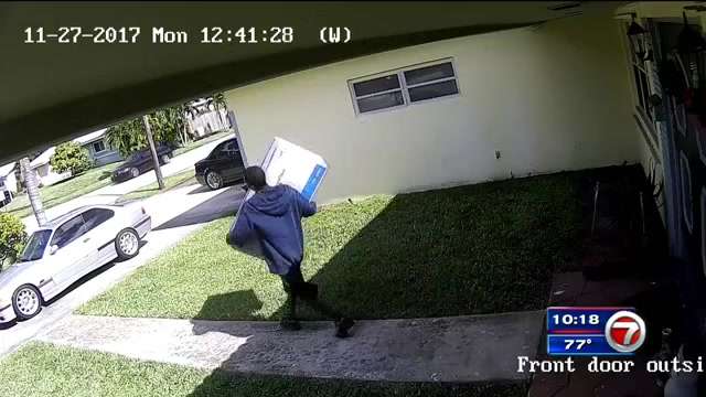 Video shows burglar stealing package from Hollywood home - WSVN 7News ...