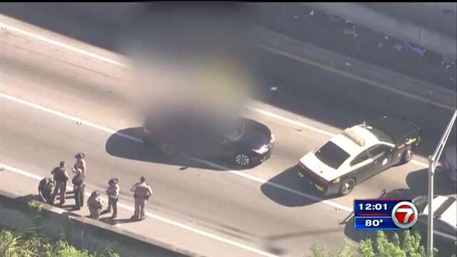 Truck driver fatally shot in apparent road rage incident on Palmetto ...
