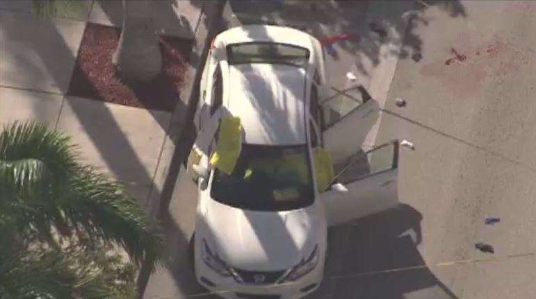 Woman found dead inside car outside Hialeah City Hall - WSVN 7News ...