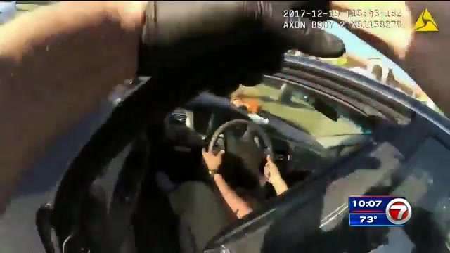 2 people in custody after police pursuit ends on I-595 - WSVN 7News ...