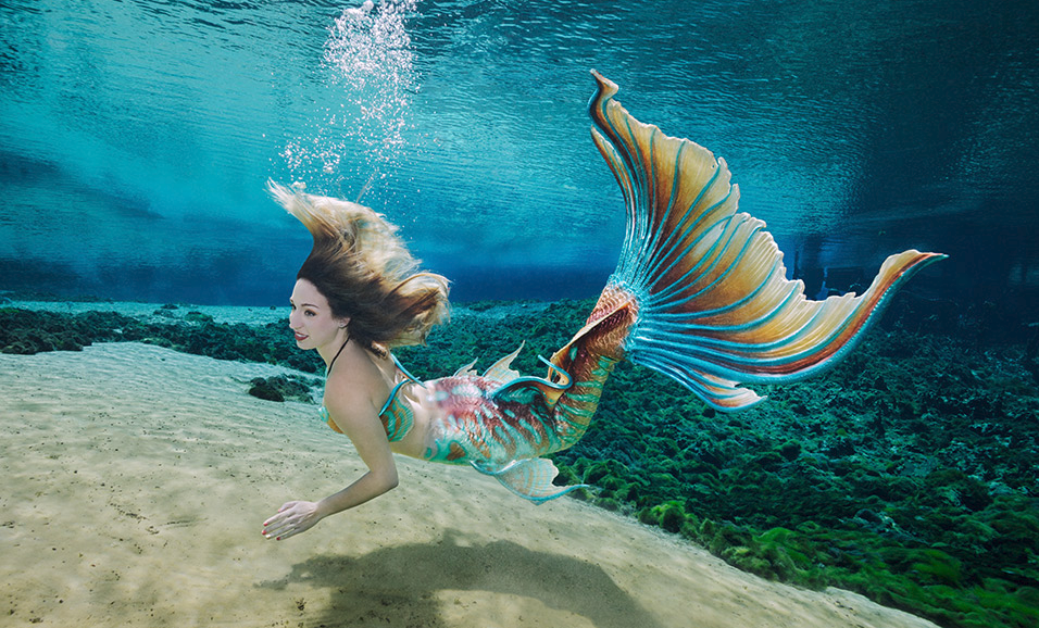 Florida state park looking for new mermaids at Weeki Wachee Springs