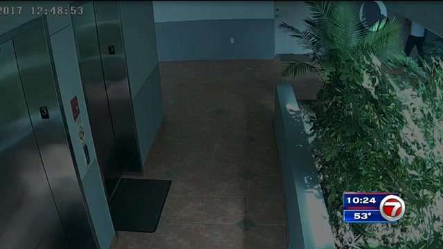 Burglars caught on camera breaking into Brickell apartment - WSVN 7News ...