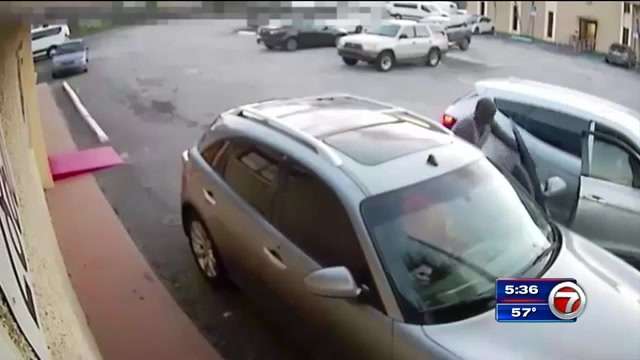 Thief caught on camera stealing purse from car in Oakland Park - WSVN ...