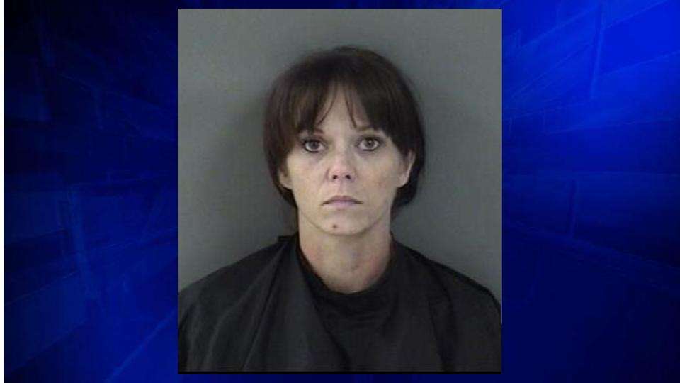 Florida mom arrested for leaving child in car while shoplifting - WSVN ...